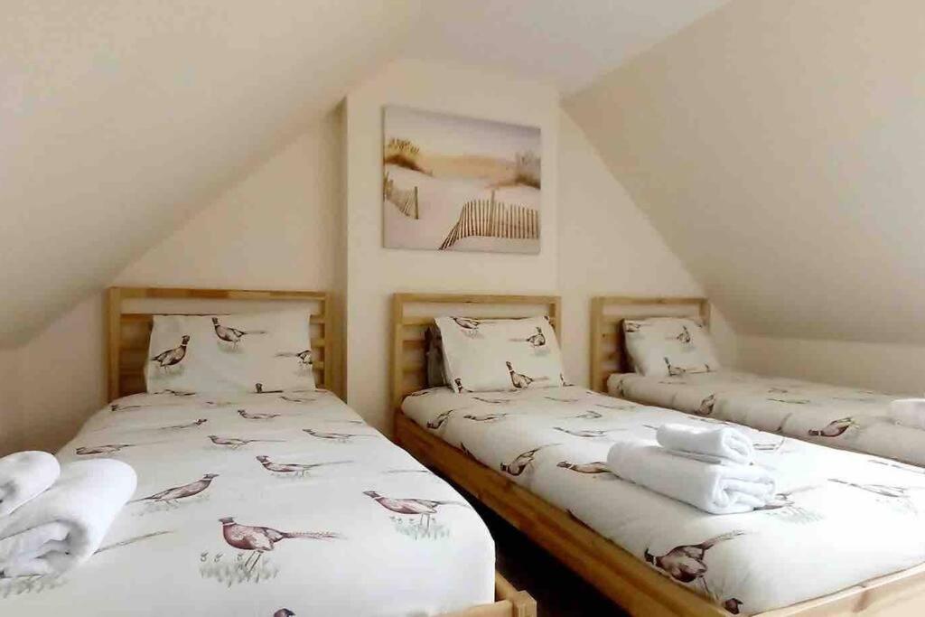 Fraser House - City Centre - Free Parking Villa Inverness Kültér fotó